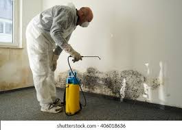 Best Mold Prevention Services  in Hinsdale, IL